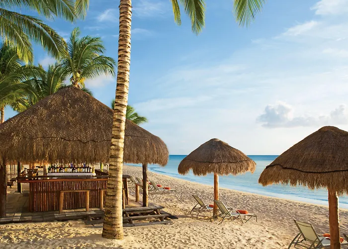 Sunscape Sabor 4*