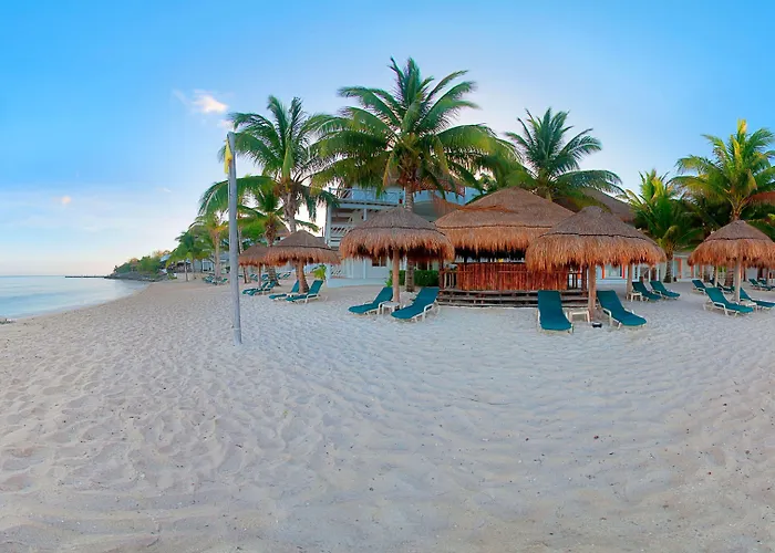 Sunscape Sabor 4*