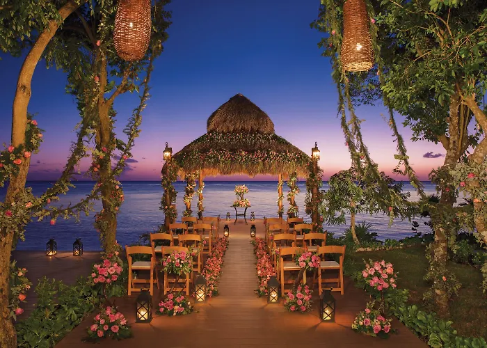 Sunscape Sabor